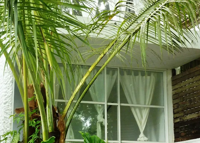 Hotel Bliss Boutique Seychelles 3*